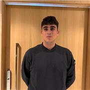 Studente di Beni Culturali propone lezioni di arte, storia e geografia per scuola media e liceo.